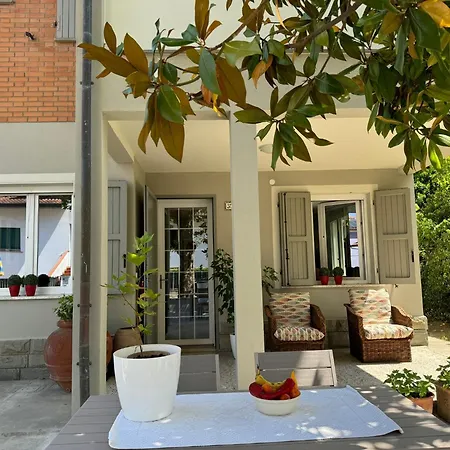 Pesciolino Rosso * 체제나티코